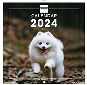 Finocam - Calendar 2024 International Wall Images January 2024 - December 2024 (12 Months) Dogs International