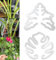Monstera Grapple, Monstera Plant Grapple, Unique & Aesthetic Monstera Plant Support, Monstera Leaf Plant Support, Turtle Shell Bamboo Clamp Set, Keeps Plants Tame & Growing Vertical (2Mix)