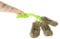 DINGO Set: 3 x Fleece Dog Chaser Toy, Artificial Fur, Squeaky Teaser 55 cm Long, Bungee Handle for Agility, Training, Retrieve, Chasing, Play, All Dog Breeds, Green, Pack of 3 (Z30028)