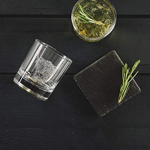 Just Slate JS/GTS/HC Highland Cow Engraved Tumbler with Slate Coaster Gift Set, Glass/Black