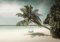 Forwall Fototapete Strand Meer Palmen Natur Hawaii Sand Landschaft Wohnzimmer Schlafzimmer Vlies Tapete Wandtapete UV-Beständig Montagefertig (13344, V8 (368x254 cm) 4 Bahnen)