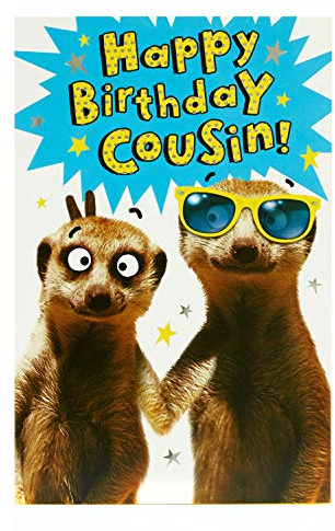 UK Greetings Cousin Birthday Card - Boys Birthday Card - Funny Birthday Card - Meerkat Design