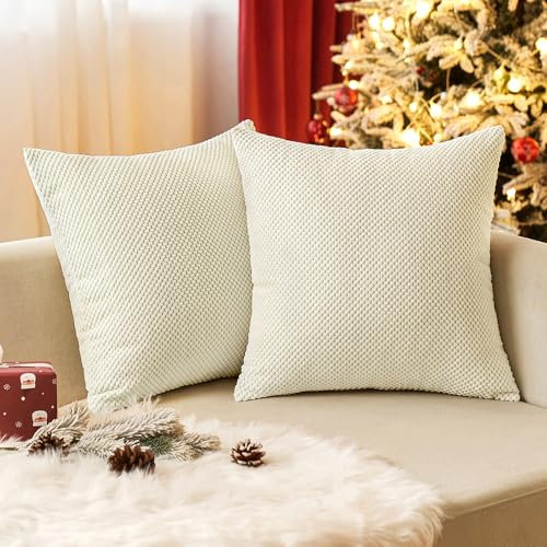 EMEMA Kordsamt Kissenbezug Dekorative Granulat Sofakissen Dekokissen Kissenbezüge Kissenhülle Couchkissen Überwurf Kissen Bezug Zierkissen für Couch Sofa Wohnzimmer 2er Set 45x45 cm Beige