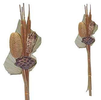 finehomegarden Exoten Sortiment 8-teilig Trockenblumen Strauß Boho Style Little Palm Natur 64cm Grabaufleger Trauerfloristik Allerheiligen Herbstdeko Totensonntag