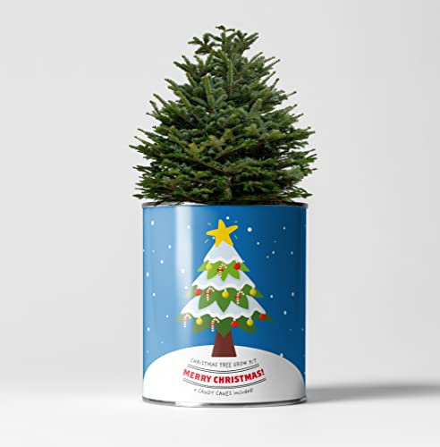 Merry Christmas Luxury Christmas Tree Grow Kit, The Plant Gift Co. Christmas Tree Seeds, Children Gardening Gift and Candy Canes.