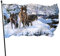 Garten Flagge Wolf Schöne Verschneite Landschaft Dekorative Fahnen Verblassen Beständig Dekoratives Banner Lustige Saison Flagge, Für Partys, Veranda