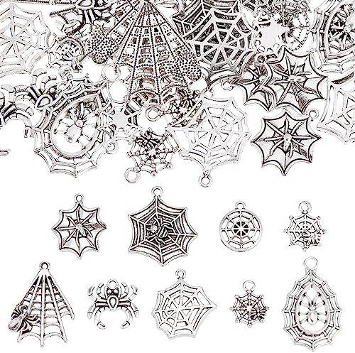 SUNNYCLUE 1 Box 54 Stück Spinnen Charms Im Tibetischen Stil Spinnennetz Charms Spinnen Charm Halloween Spinnennetz Antikes Silber Hohle Metalllegierungs Charms Für Die Schmuckherstellung Charm DIY Ohr