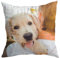 Teetaly Cuscino Personalizzato con Foto e Scritte, Fronte-Retro, 40x40, Sfoderabile e Lavabile