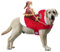 Idepet Hundekostüm Weihnachten, Hund Weihnachten Kostüm mit Santa Claus Reiten auf Haustier Katze Hundepullover Weihnachten