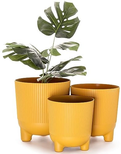 Home Garden Ornaments Trio Plant Pots Indoor – Set of 3 (14cm, 16cm, 18cm) Decorative Indoor Plant Pot on Stands, Flower Pots on Legs (Colour: Mustard)