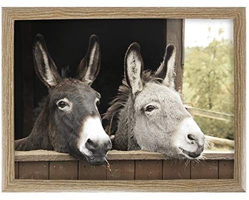 Mars & More [W] Knietablett 2 esels 43cm