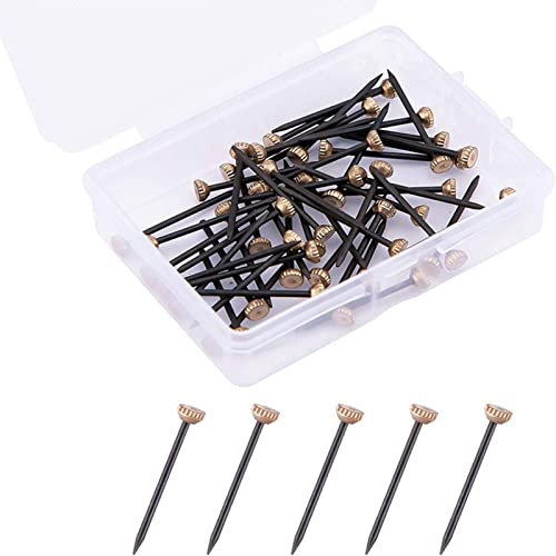 50 pcs Picture Hanging Nails w/ Plastic Storage Box, Brass Head Picture Pins Heavy Duty Nail Hook for Plasterboard Hanging Photo Frames/ Bulletin Boards/ Canvases/ Signs(Black+Gold)