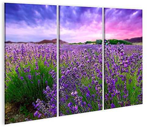 Prime Tableau sur toile Motif champs de lavande, buissons de Provence