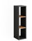 Vicco Standregal Orlando, Stauraumregal, Anthrazit/Goldkraft Eiche, 21.6 x 80.1 cm