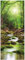 Wallario Wandbild aus Acryl, 50 x 125 cm, freischwebende Optik - Fluss im Wald