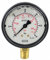 Glycerin-Manometer 0-25 bar Spritzwasser von Ama