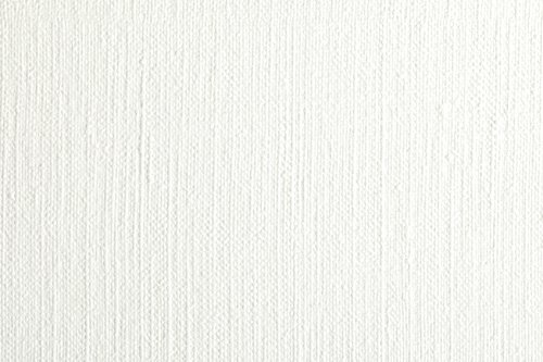 Clairefontaine - Ref 975830C - Huile White Oil Paper (Pack of 10 Sheets) - 56 x 76cm, 240gsm, Acid Free, pH Neutral, Treated Surface for Non-Absorbency