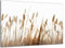 Munera Design - Bild 30x40 - Boho-Stil Schilf - Wand-Bilder Wohnzimmer