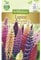 Chrestensen Lupine 'Prachtmischung'