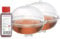 Gardigo Wespenfalle mit Lockstoff - 2er Set mit 100ml Lockstoff | Wespen Abwehr mit 13cm Durchmesser | Made in Germany | Insektenfänger aus Kunststoff zum Aufhängen oder Hinstellen | Fliegenfalle
