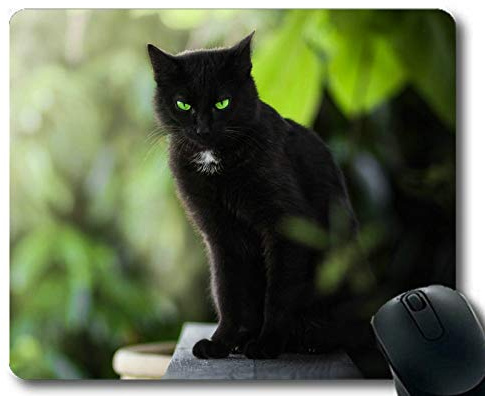 Gaming Mouse Pad, Grüne Augen Pet Stare Cat Mauspad, Mauspad für Computer cat089