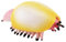 Modellfigur prähistorische Kreaturen, pädagogisches Modell von Meerestieren - Schulalter Tierfiguren - Realistische Schild-Trilobit-Figuren für Kleinkinder, Kinder, Alte