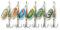 DAM Spinner FZ Standard 3D Regenbogenforelle 6g