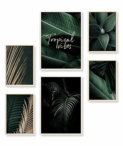 Heimlich® Premium Poster Set mit Bilderrahmen Aluminium Gold | 2 x DIN A3 & 4 x DIN A4 - ca. 30x42 & 21x30 | Stilvolle Poster Collagen mit passenden Bilder als Wanddeko » Gold Grün Agave «