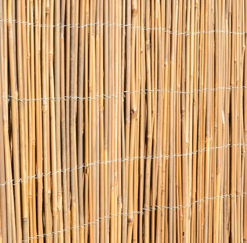 Primrose Papillon Bamboo Cane Natural Garden Fencing Screening Roll Privacy Screen 4m x 2m (13ft 1in x 6ft 7in)