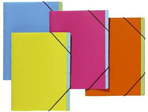 Ordnungsmappe 6tlg. sort. PAGNA 41801-00 Funky Orga VE=8(Liefermenge=8)