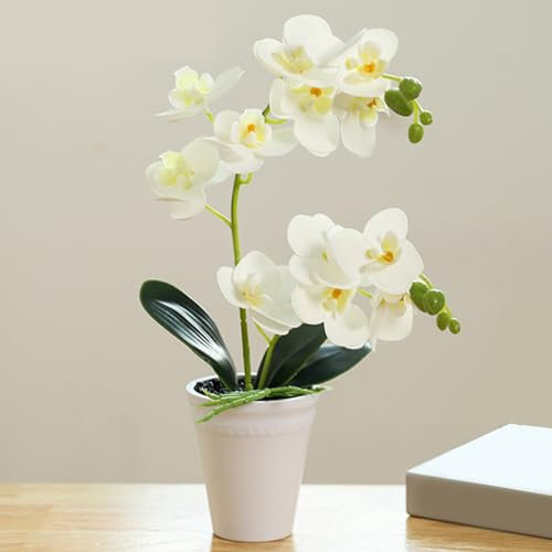 Orchidea artificiale, falsa orchidea in pentola realistica da 16 pollici orchidee orchide artificiale vivida vivida vivida pianta di orchideutica finta per il matrimonio di casa, bianco, finta orchid