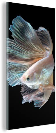MuchoWow Glasbild Glasfoto Wandbild Bilder Deko 80x160 cm Fisch - Schwanz - Schwarz