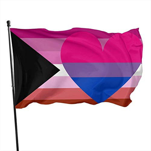 Hofflagge, Banner, Demi, Lesben, biromantischer Stolz, Thema, Willkommens-Party, Outdoor-Dekoration, Ornament, Picks, Haus, Garten, Hof, Dekoration, 90 x 152 cm