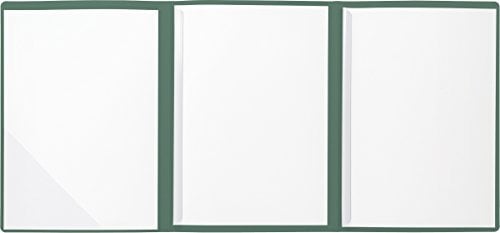BRUNNEN 102012950 Bewerbungsmappe (Strukturkarton mit feinen Linien, A4, 10 Blatt) grün