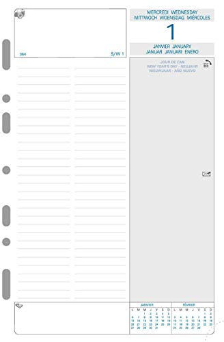 Exacompta 28246 Terminplaner-Einlage für Exatime 21 2. Halbjahr Juli-Dezember weißes Papier