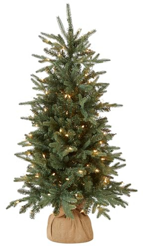 National Tree Company 4 ft Pre-Lit Everyday Collection Mini Artificial Christmas Tree, 150 Clear Lights, 643 Tips, Burlap Base, Green
