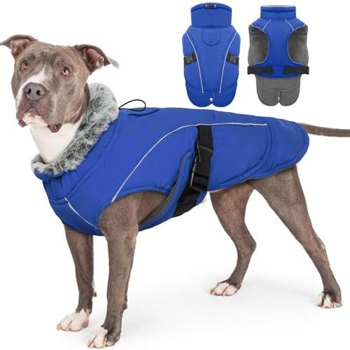 Hundemantel Winter, wasserdichte Warme Jacke für Hunde Reflektierende Hundejacke Fleece Gefüttert Wintermantel mit Fleecekragen Winter Hundekleidung(Blau, 2XL)