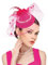 dressfan Fascinator Hut Damen Hochzeit Haarschmuck Schleier Vintage Perle Stirnband Gatsby Haarreif 20er 50er Pillbox Kopfschmuck für Hochzeit/Cocktail/Gatsby/Teeparty,Rose