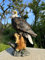 Euiroet, echte Adler-Statue für draußen, 33,5 cm, lustige Vogel-Skulptur, Gartendekoration für Strand und Garten, Harz-Tier-Meeresvogel-Ornamente, Küsten-Dekor, Terrassendekoration für Garten, Rasen