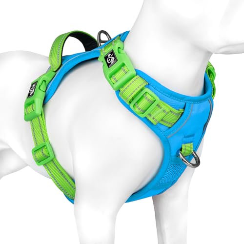 PHOEPET No Pull Hundegeschirr, reflektierende Hundeweste, mit weichem Trainingsgriff für kleine, mittelgroße und große Hunde (Blaue Basis und Grüne Träger, M)