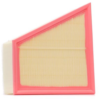 RIDEX 8A1056 Motor Luftfilter Rechteckig Vorfilter für staubreiche Einsatzbedingungen