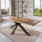 trelevo Esszimmertisch 280x100 cm, Mangoholz massiv, Tischplatte Natur/rau, echte Baumkante, Spider Gestell schwarz, Baumkantentisch