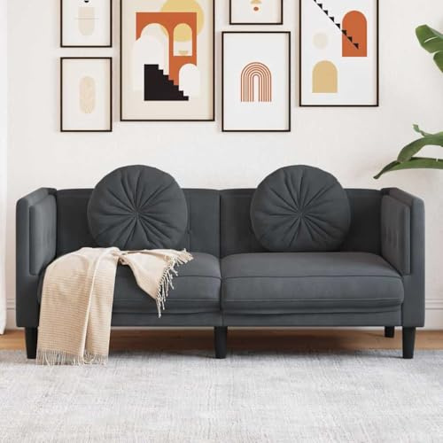 Qnhdfrt 2-Seater Velvet Sofa with Pillows, Dark Gray