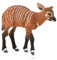 Collecta - Bongo Welpe - M - 88823 (90188823)