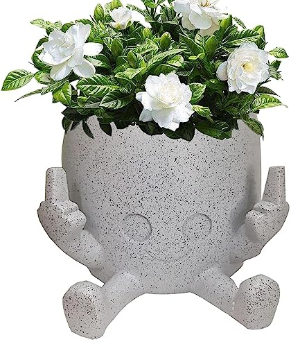 Fellflying Lächelnder Blumentopf Mit Erhobenem Mittelfinger | Sukkulenten-Blumentopf, Kunstharz-Gesichts-Blumentopf, Dekorativer Blumentopf Für Zuhause, Büro, Balkon, Garten