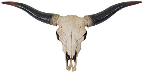 Mendler Deko Schädel 75cm HWC-A14, Polyresin Stier Bulle Longhorn Kopf Trophäe, In-/Outdoor Natur