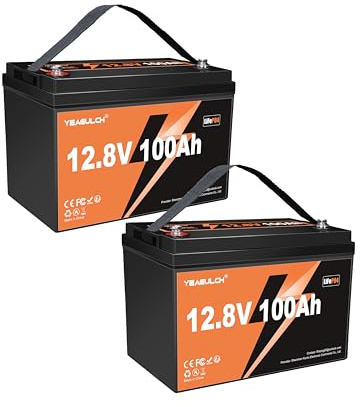 Yeagulch Batterie Lithium 2 x 12V 100Ah LiFePO4 – BMS 100A Intégré, 6000 Cycles, 1280Wh 12V Batterie LiFePO4 Rechargeable adaptée au Camping-Car, Stockage Solaire, Hors Réseau