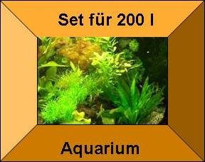 Mühlan Pflanzenhandel 10 Töpfe + 10 Bund Wasserpflanzen, Aquarienpflanze