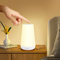 Taipow LED Nachttischlampe Touch Dimmbar mit Fernbedienung, Rgb Farbwechsel Nachtlicht Kinder mit 13 Farben, kabellose Lampe Batteriebetrieben für Schlafzimmer Kinderzimmer Zimmer Room
