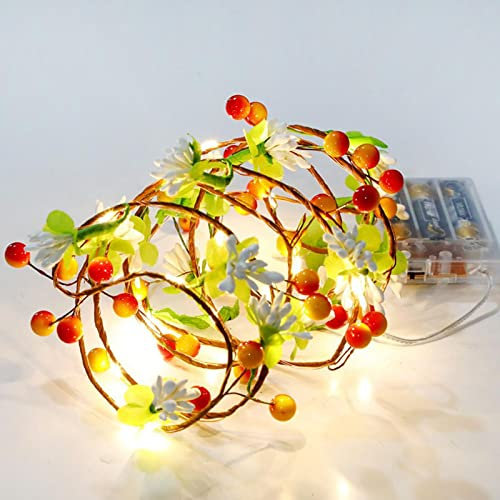 HERCHR LED Lichterketten Dekor 2M 20 LED Obst Gemüse Girlanden Dekoration Lichterkette für Hochzeit Wand Hausgarten Party